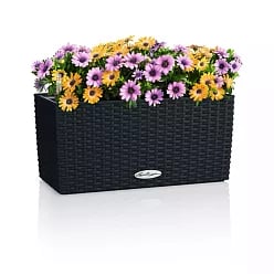 LECHUZA BALCONERA Cottage Trough Poly Resin Self-watering Planter