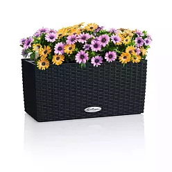 LECHUZA BALCONERA Cottage Trough Poly Resin Self-watering Planter