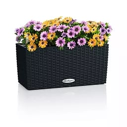LECHUZA BALCONERA Cottage Trough Poly Resin Self-watering Planter