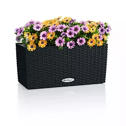 LECHUZA BALCONERA Cottage Trough Poly Resin Self-watering Planter