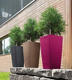 LECHUZA CUBICO Color Square Tall Poly Resin Self-watering Planter