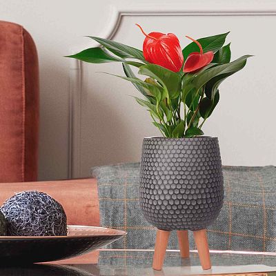 IDEALIST Lite Honeycomb Style Egg Planter on Legs, Round Pot Plant Stand Indoor