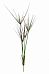 Papyrus Artificial Grass Plant