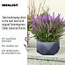 IDEALIST Lite Faceted Effect Bowl Planter Indoor Plant Pot