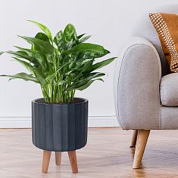IDEALIST Lite Modern Ribbed Cylinder Planter on Legs, Round Pot Plant Stand Indoor
