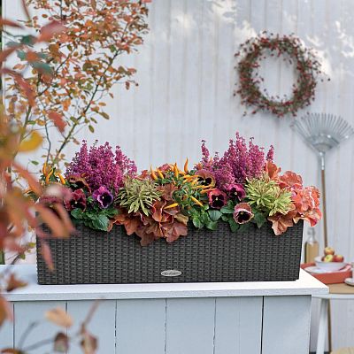 LECHUZA BALCONERA Cottage Trough Poly Resin Self-watering Planter Set