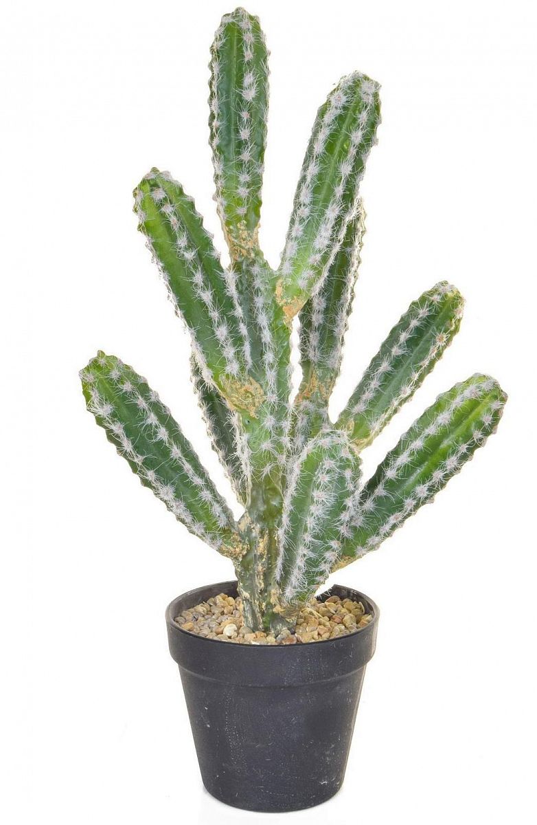 Cactus with Black Pot YF Artificial Flower Plant