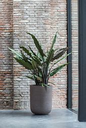 Fibrestone Dice Round Planter by Idealist Premium