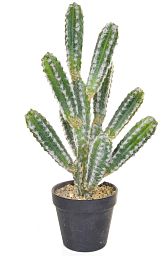Cactus with Black Pot YF Artificial Flower Plant