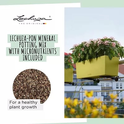 LECHUZA BALCONERA Color Trough Poly Resin Self-watering Planter