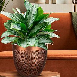 IDEALIST Lite Mesh Style Round Indoor Planter