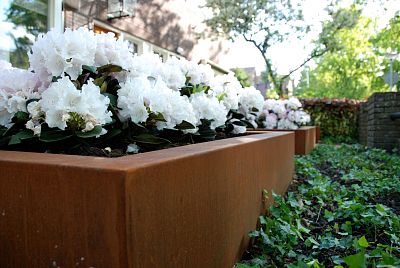 Andes Low Cube Corten Steel Outdoor Planter