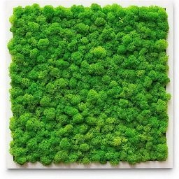 PREMIUM Moss Wall Art Artificial Moss Plant