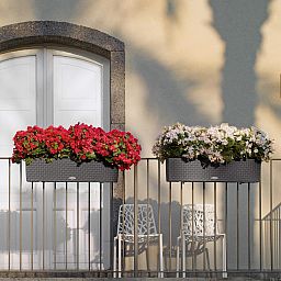 LECHUZA BALCONERA Cottage Trough Poly Resin Self-watering Planter Set