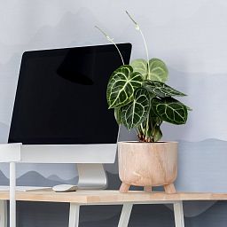 HORTICO GROWER Wooden House Planter with Legs, Indoor Plant Pot Stand with Waterproof Liner