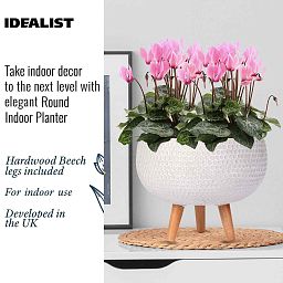 IDEALIST Lite Honeycomb Style Bowl Planter on Legs, Round Pot Plant Stand Indoor