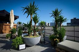 Bowl Round Polystone Planter by Fleur Ami EGO PLUS