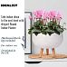 IDEALIST Lite Honeycomb Style Bowl Planter on Legs, Round Pot Plant Stand Indoor