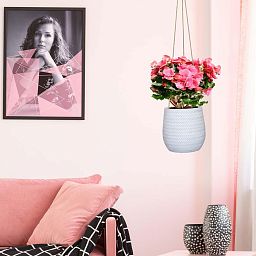 IDEALIST Lite Plaited Style Table and Hanging Plant Pot Dual Use Indoor Egg Planter