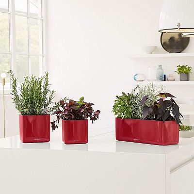 LECHUZA CUBE Glossy Square Poly Resin Indoor Self-watering Planter