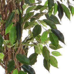 Ficus Liana Flame Retardant Artificial Tree Plant