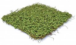 Topiary Mat Artificial Moss Plant