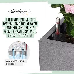 LECHUZA CANTO Stone Low Square Poly Resin Self-watering Planter Set
