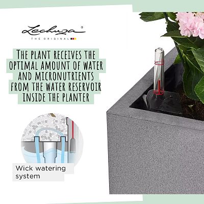 LECHUZA CANTO Stone Low Square Poly Resin Self-watering Planter Set