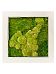 Moss Painting Natural Square