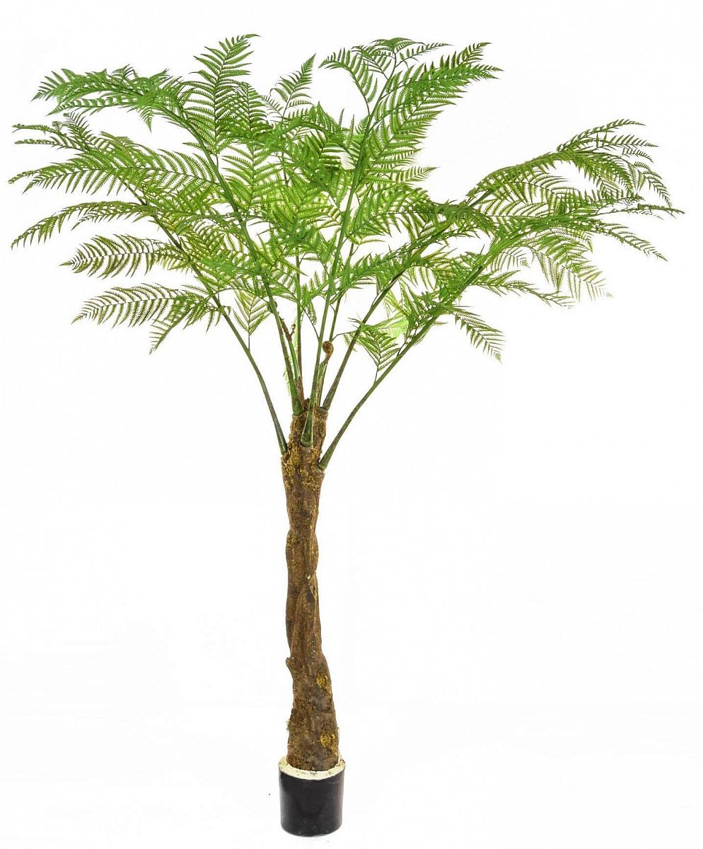 Palm Alsophila Artificial Tree Plant
