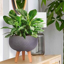 IDEALIST Lite Honeycomb Style Bowl Planter on Legs, Round Pot Plant Stand Indoor