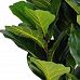 LYRATA EXTRA Artificial Tree Plant