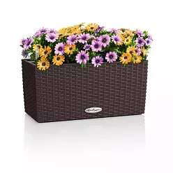 LECHUZA BALCONERA Cottage Trough Poly Resin Self-watering Planter