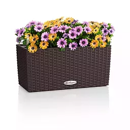 LECHUZA BALCONERA Cottage Trough Poly Resin Self-watering Planter