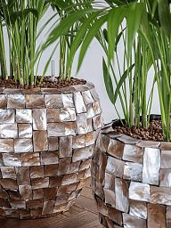 Oceana Couple Round Indoor Planter
