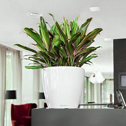 LECHUZA CLASSICO Round Poly Resin Planter Only