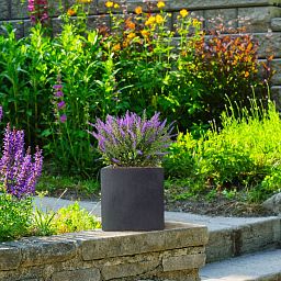 IDEALIST Lite Square Box Contemporary Light Concrete Planter