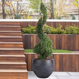 IDEALIST Lite Leaf Embossed Ball Planter