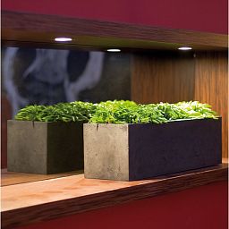 Trough Polystone Planter by Fleur Ami DIVIDE Room Divider