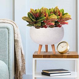 IDEALIST Lite Honeycomb Style Bowl Planter on Legs, Round Pot Plant Stand Indoor