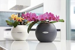 LECHUZA PURO Color Round Poly Resin Self-watering Planter