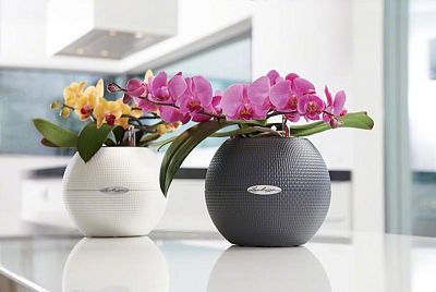 LECHUZA PURO Color Round Poly Resin Self-watering Planter