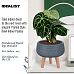 IDEALIST Lite Plaited Style Bowl Planter on Legs, Round Pot Plant Stand Indoor