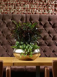 Ceramic Bowl Lined Glossy Planter Pot In/Out