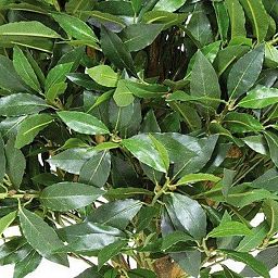 LAUREL BALL DELUXE Artificial Tree Plant