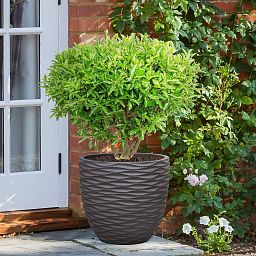 IDEALIST Lite Wave Style Outdoor Egg Planter