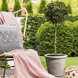 IDEALIST Lite Rustic Style Rolled Rim Wide Vase Outdoor Planter