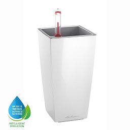 LECHUZA CUBI Square Poly Resin Indoor Self-watering Planter