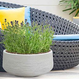 IDEALIST Lite Ribbed Light Concrete Bowl Planter