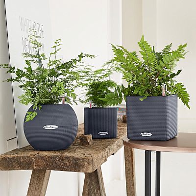 LECHUZA PURO Color Round Poly Resin Self-watering Planter